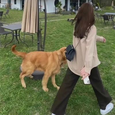 绅士爱美人
